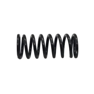 Leke Temizleme Tabancası Sarı Piston Mil Yayı / YH-120-15